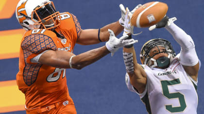 Vikings sign Arena Football League standout Nick Truesdell