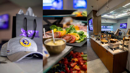 Minnesota Vikings Suite Rentals