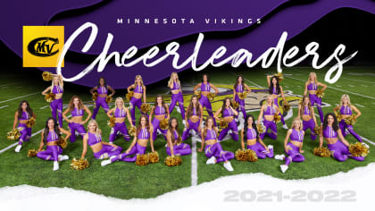 NFL Minnesota Vikings - Team Poster