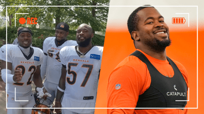 Download American Cincinnati Bengals Athlete BJ Hill Celebrates