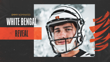 2021-22 Cincinnati Bengals Playoffs Hype Video 