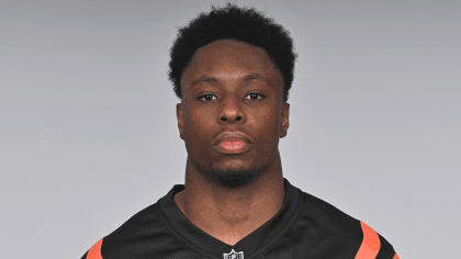 Cincinnati Bengals defensive end Jeff Gunter (93) during an NFL preseason  football game against the New