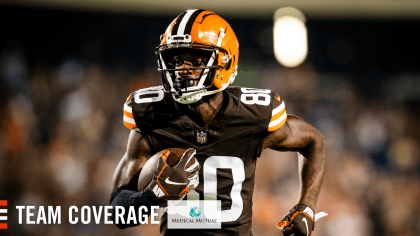 Browns wide receiver Little thinks he can play big in 2013