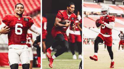 Cardinals Running Back Outlook: Picking between James Conner and Chase  Edmonds - Revenge of the Birds