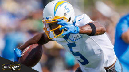 Josh Palmer showing Chargers he can be an 'elite' player – Orange County  Register