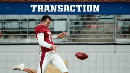 Arizona Cardinals punter Nolan Cooney stands out with his play in NFL  preseason