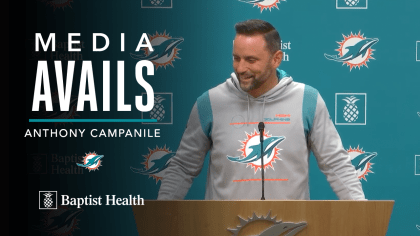 Anthony becomes a Dolphins owner