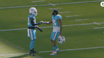 Dolphins vs. Browns Player Props, Alec Ingold, Week 10