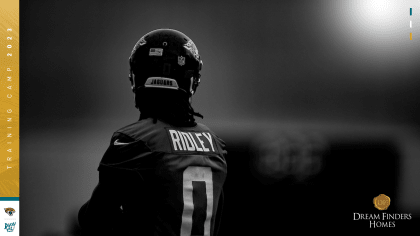 JACKSONVILLE JAGUARS: Calvin Ridley ᴴᴰ 