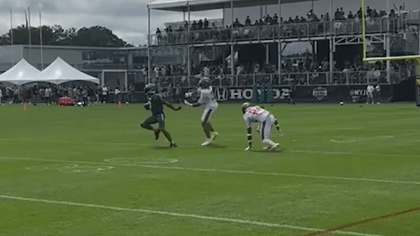 Aaron Rodgers hits Garrett Wilson for viral touchdown catch at