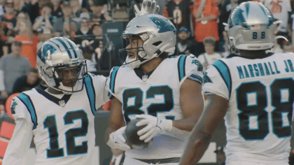 Carolina Panthers tight end Tommy Tremble (82) wears a Salute to