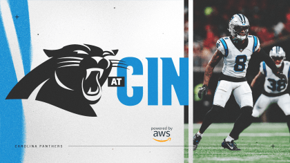 100+] Carolina Panthers Wallpapers