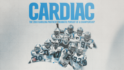 NFL on Twitter: The Carolina @Panthers are the champions of the NFC South!   / X