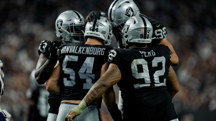 NFL: Raiders cap perfect preseason with 23-6 win over Patriots