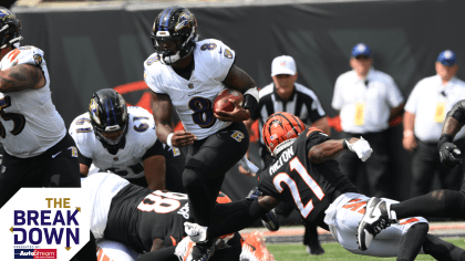 Ravens' mascot carted off at halftime with apparent injury