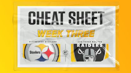 Steelers GameDay Cheat Sheet: Week 13 vs the Atlanta Falcons - Steel City  Underground