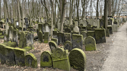 Holocaust Museum Visit Connects Greg Joseph with Jewish Heritage