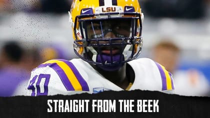 Should Steelers Try to Trade for LB Devin White?