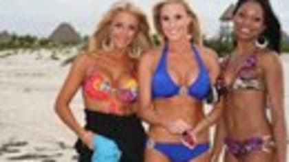 TENNESSEE TITANS CHEERLEADERS 2010 SWIMSUIT CALENDAR