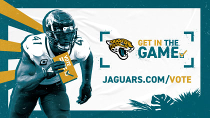 Jaguars partner with Duval County Supervisor of Elections to create ballot  drop box at TIAA Bank Field - Big Cat Country