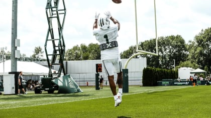 Jets release receiver Terrelle Pryor after six games