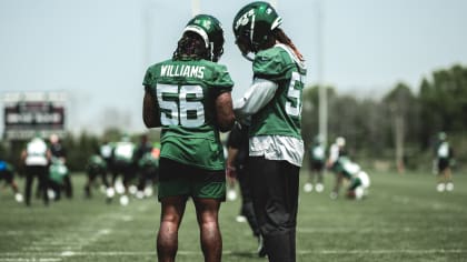 New York Jets on X: LB Quincy Williams is back. 