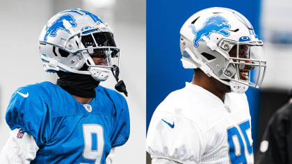 Anthony on X: If this is new Lions logo how are we feeling