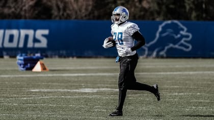 Lions Week 11 snap count observations: D'Andre Swift still seeing