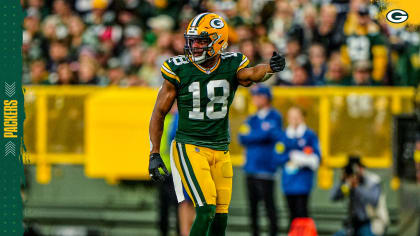 Green Bay Packers wide receiver Randall Cobb (18) reacts after making  yardage during the first quarter of an NFL game between the New York Giants  and the Green Bay Packers at the