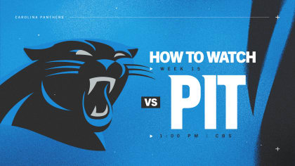 pittsburgh at carolina panthers