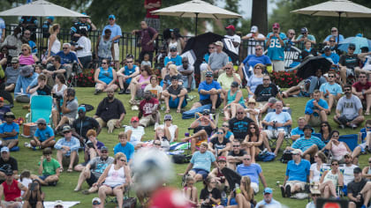 SC: Local businesses win big during Carolina Panthers training camp