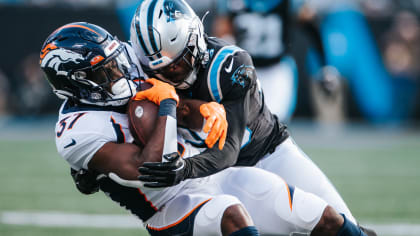 Carolina Panthers at Cleveland Browns: Week 14 full coverage - Cat Scratch  Reader