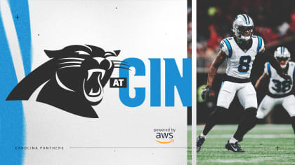 Carolina Panthers vs Cincinnati Bengals Highlights HD, NFL Week 9