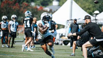 NFL Carolina Panthers Football Field Runner