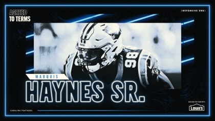 Carolina Panthers defensive end Marquis Haynes (98) sacks