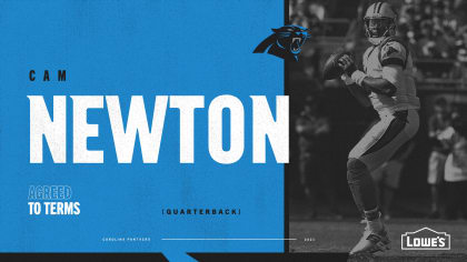 Cam Newton Touchdown Feier Hintergrundbild