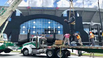 44 Carolina Panthers Statue Stock Photos, High-Res Pictures, and