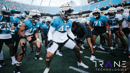 Panthers take training camp to Bank of America Stadium for Fan Fest