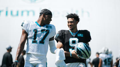 The Carolina Panthers' Joe Webb (14) passes the ball before being