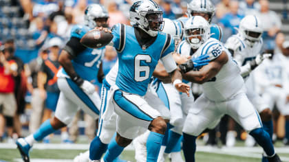 Carolina Panthers quarterback P.J. Walker (6) runs off the field