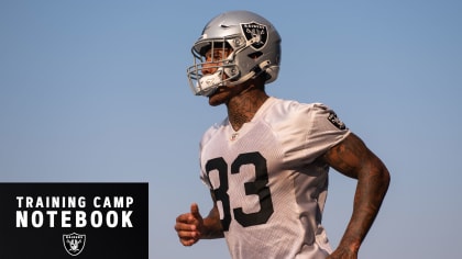 Raiders put 2 players on PUP list before start of training camp, Raiders  News