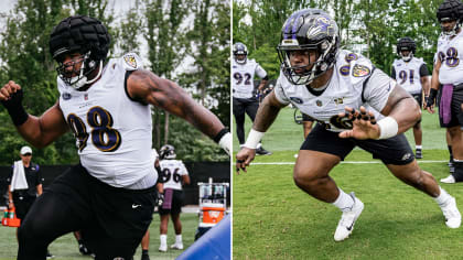 Ravens Training Camp Competition: Defensive Line