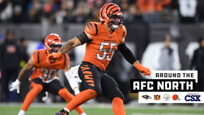 Bengals linebacker Logan Wilson continues his impressive training camp