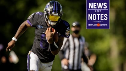 Baltimore Ravens: 3 reservations about the 2018 season