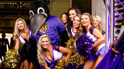 where to buy baltimore ravens gear