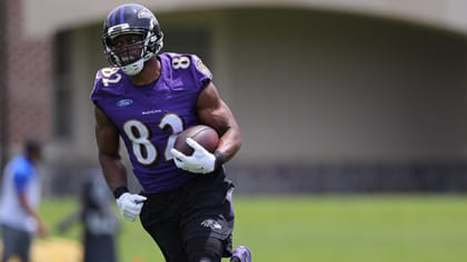 Baltimore Ravens Tight End Benjamin Watson Editorial Stock Photo - Stock  Image