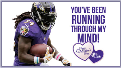 Valentines  Minnesota Vikings –