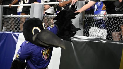 Editorial: The Baltimore Ravens Are Not a Home Team and a Few More Thoughts  on Fandom - The MoCo Show