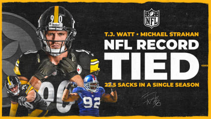 The NFL's All-Time Single-Season Records