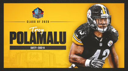 Polamalu leads five voted into Pro Football Hall of Fame